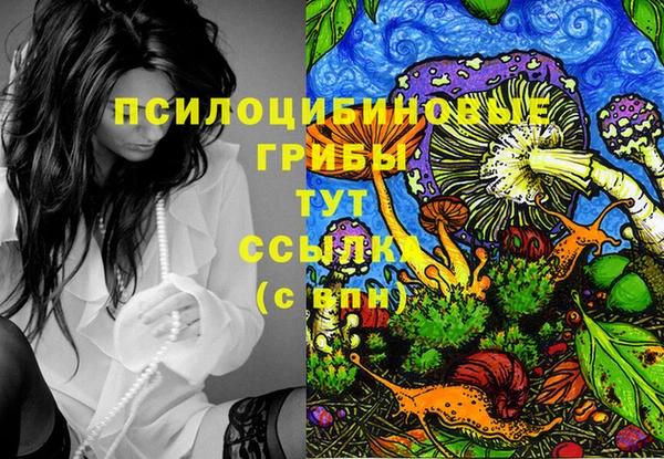 спайс Сатка