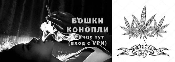 дмт Новозыбков