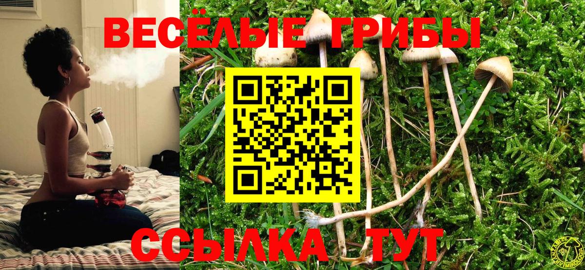 сколько стоит  Вход с VPN  Таганрог  Галлюциногенные грибы Magic Shrooms 